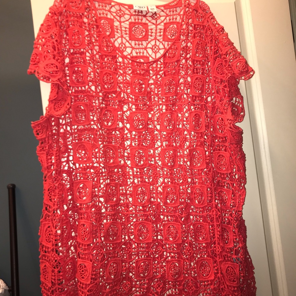 Cato Brand Plus size Crochet Top